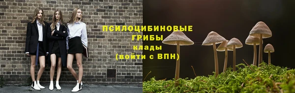 соль ск Няндома