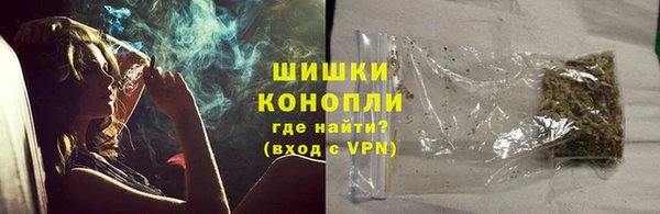 соль ск Няндома