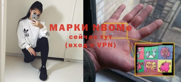 соль ск Няндома