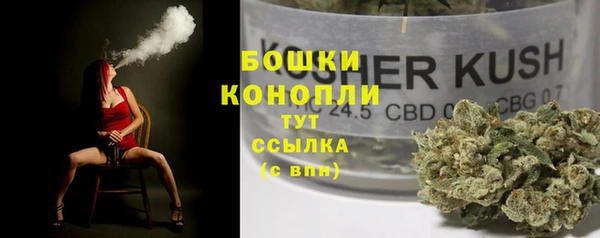 соль ск Няндома