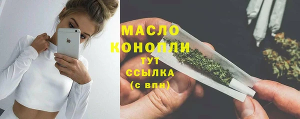соль ск Няндома
