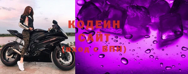 соль ск Няндома